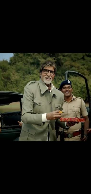 Bollywood Megastar Amitabh Bachchan praises increase in number of Tigers in India Bollywood Megastar Amitabh Bachchan praises increase in number of Tigers in India