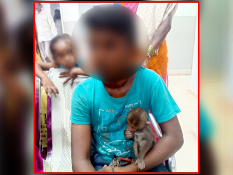 Uppal police books parents as son begs using baby monkey