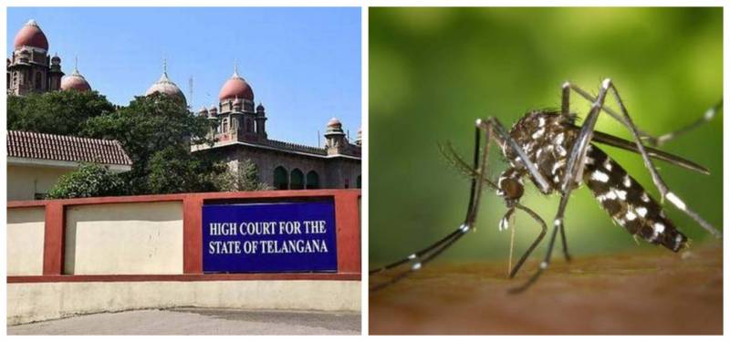 HC Pulls up Administration over Dengue measures