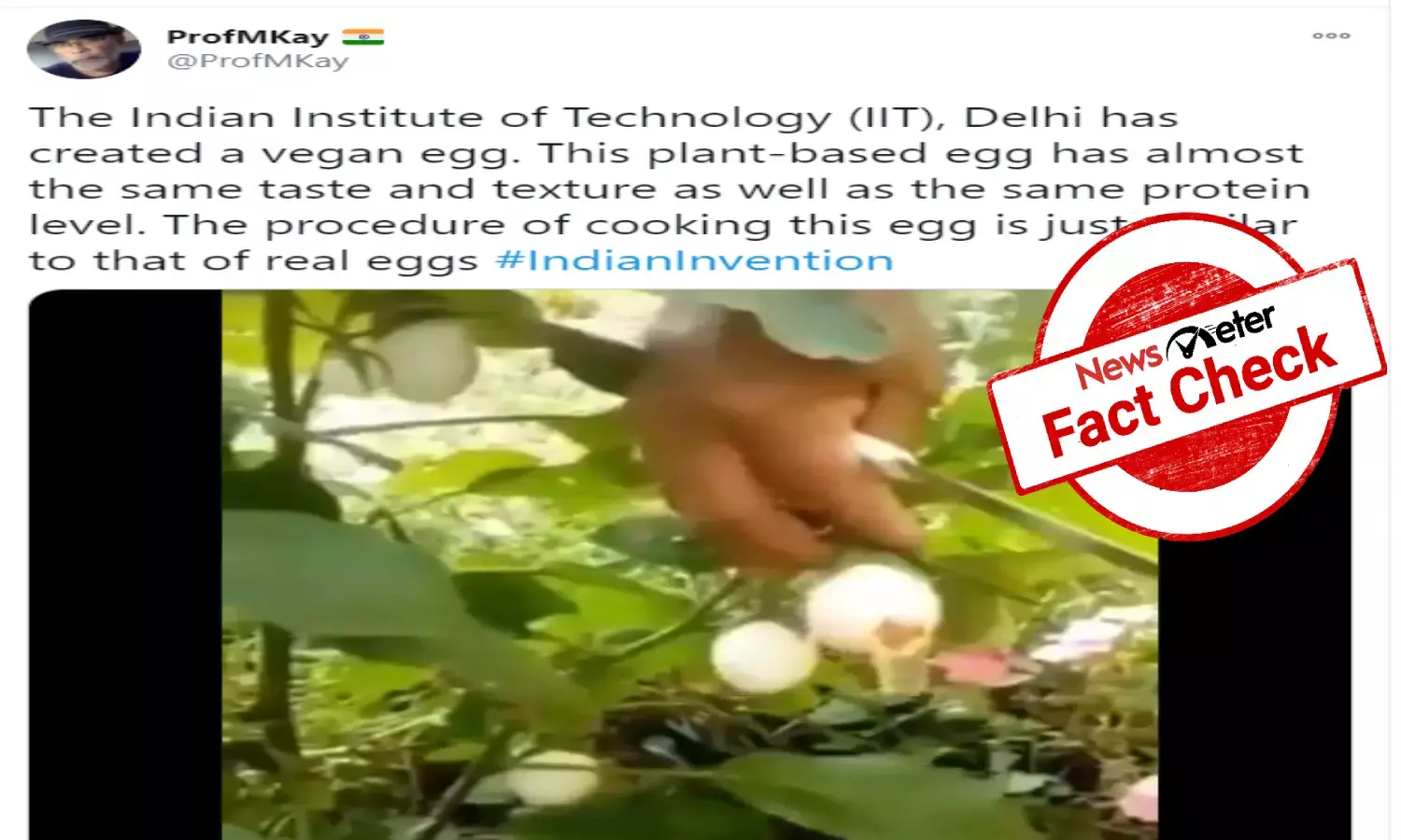 Fact check: NO, IIT Delhi has not developed plant that grows eggs