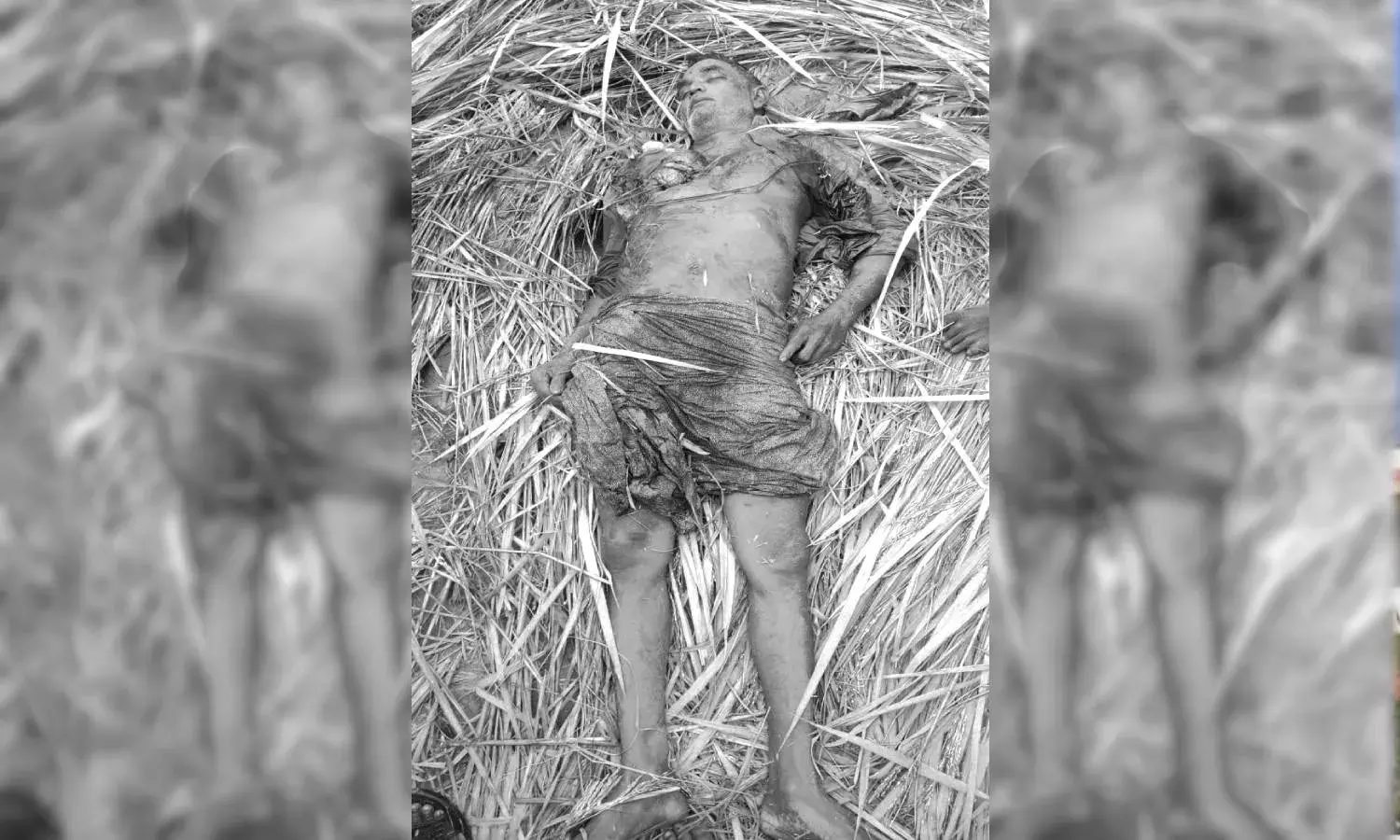 Wild elephant claims second victim in 15 days in Vizianagaram