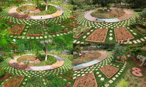 Breathing space: Panchatatva Park opens for public