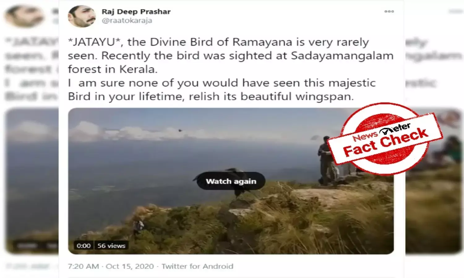 Fact check: Bird in viral video is not `Jatayu from Ramayana, but Andean Condor from Argentina