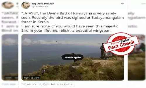 Fact check: Bird in viral video is not `Jatayu from Ramayana, but Andean Condor from Argentina