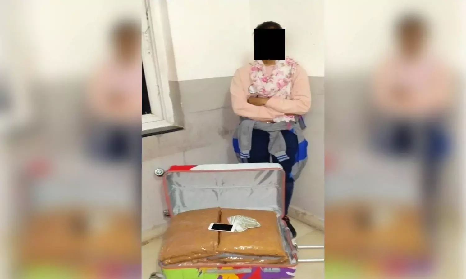 Rachakonda police bust interstate drug smuggling gang; arrest lady peddler, seize 20 kg ganja