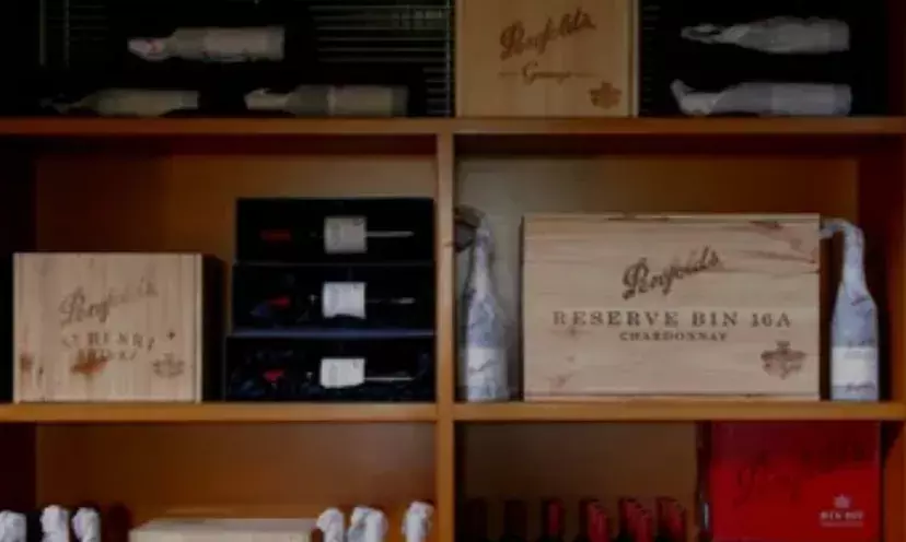 Opinion: Whoever loves discipline loves knowledge, but he who hates  reproof is stupid