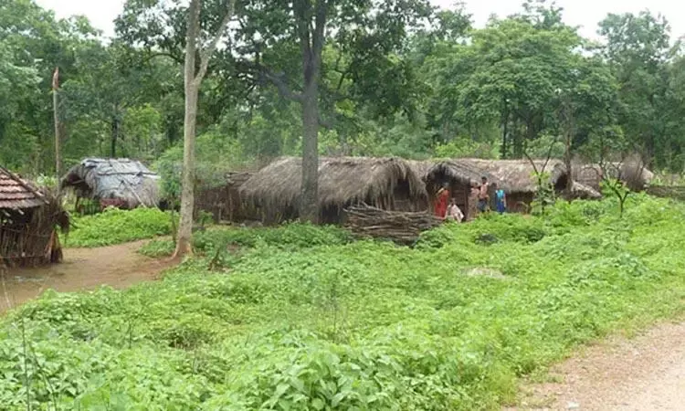 Stop land registrations in Araku, Ananthagiri: Tribal Unions to government