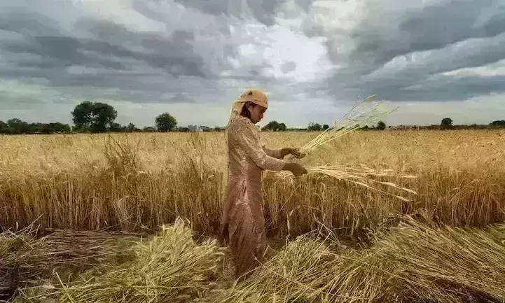 Bure din: Farm laws are aimed to squeeze farmers livelihood