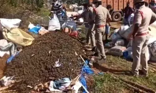 82 tonnes of dry ganja worth Rs 20 Cr destroyed in Vizag