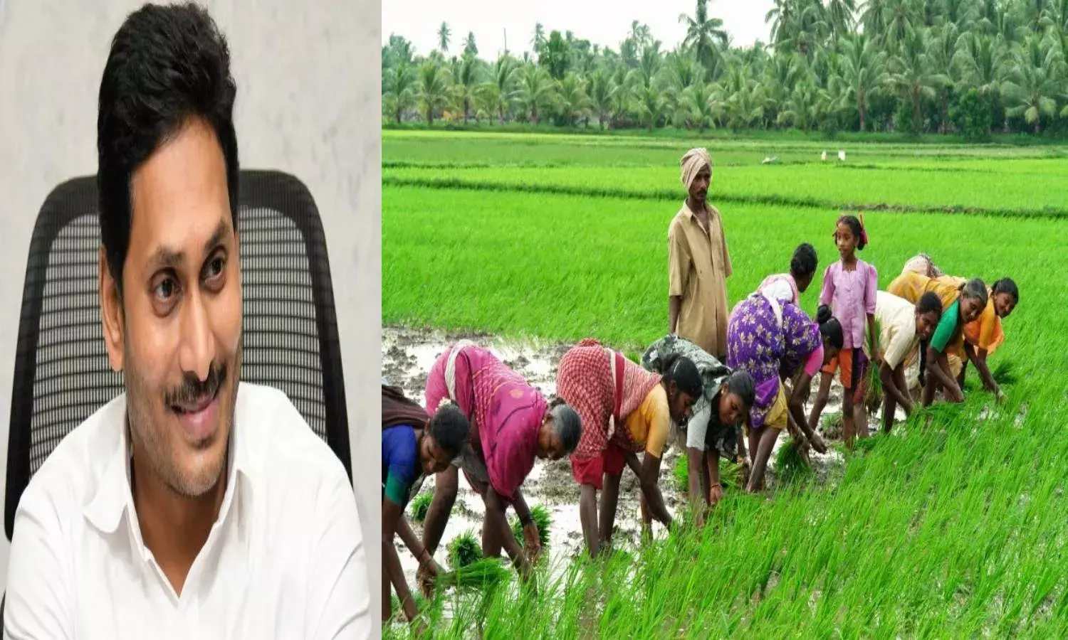 AP disburses Rs. 1,252 cr to 9.48 farmers under crop insurance scheme