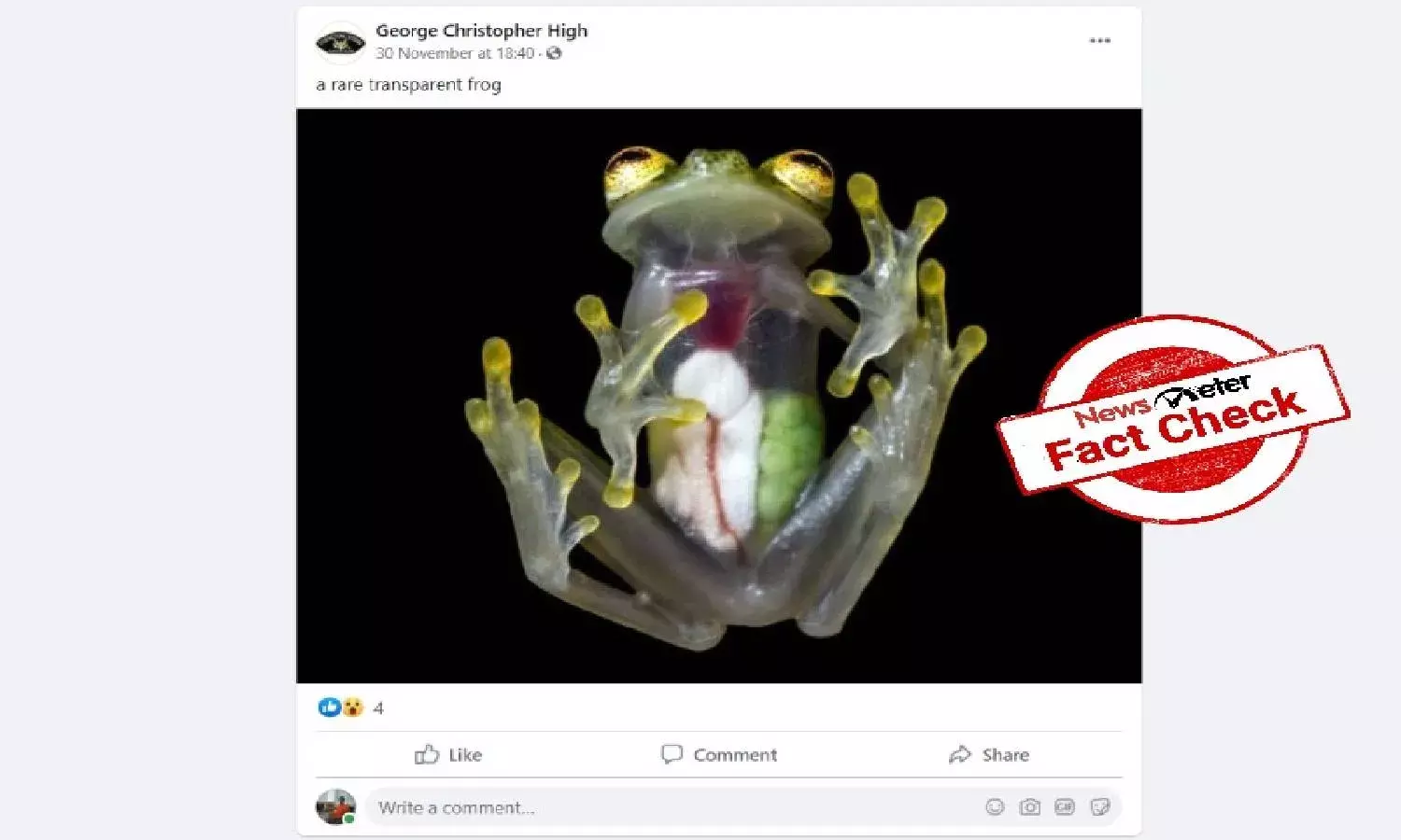 Fact check: Viral image of transparent frog, also known as Glass Frog, is True