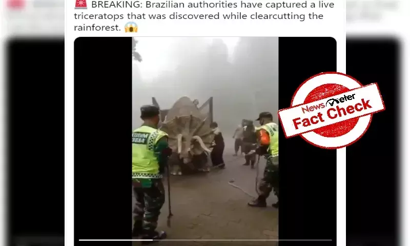 Fact Check: No, Triceratops was not caught alive in Indonesia