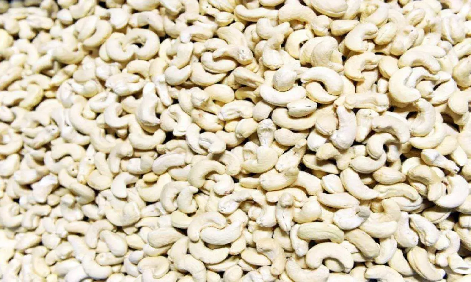 Famous Palasa cashew loses its sheen in Andhra Pradesh