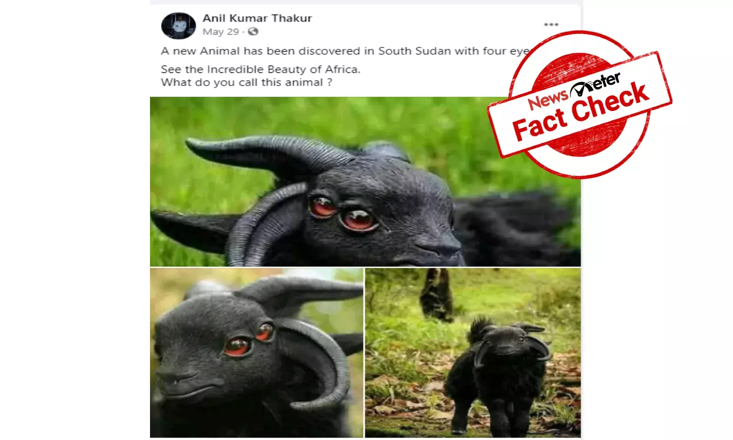 Fact Check: 4-eyed animal was not discovered in South Sudan, photo shows sculpture of mythical creature
