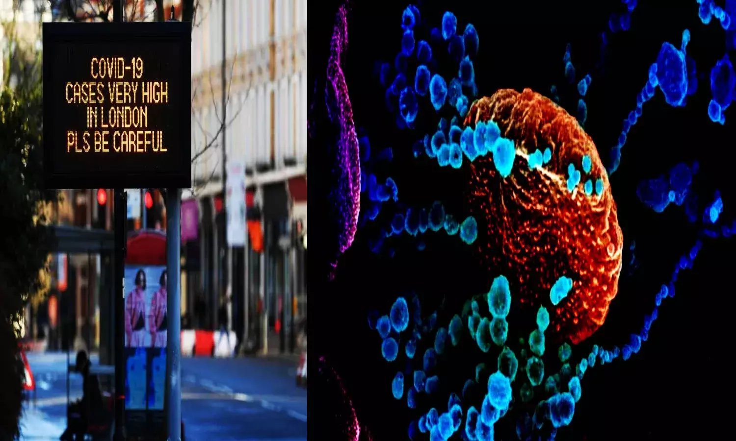 New COVID strain in UK: India rings caution bells, calls for enhanced  surveillance