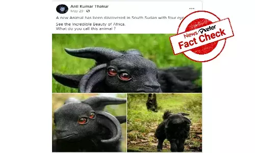 Fact Check: 4-eyed animal was not discovered in South Sudan, photo shows sculpture of mythical creature