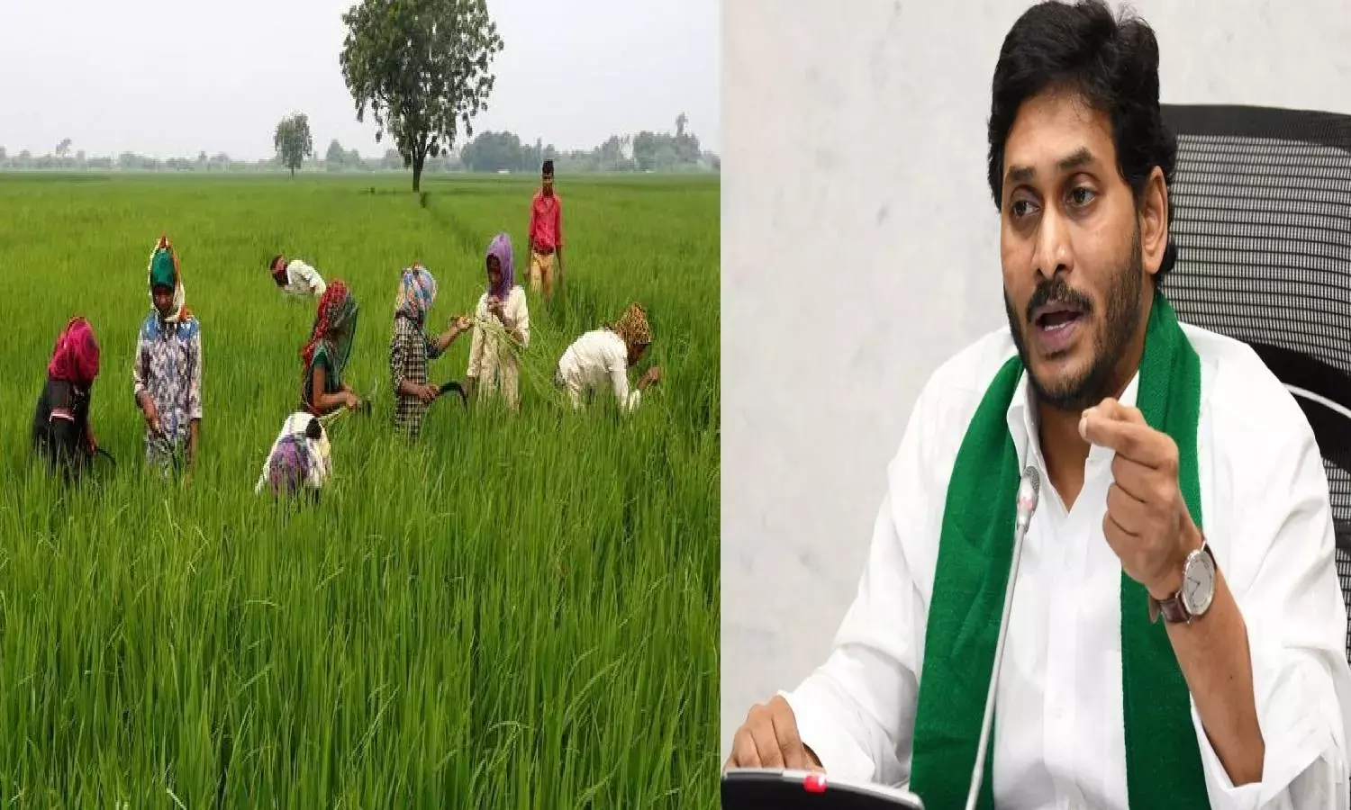 Rythu Bharosa: AP government to disburse Rs 1009 Cr relief among 50L cyclone-hit farmers
