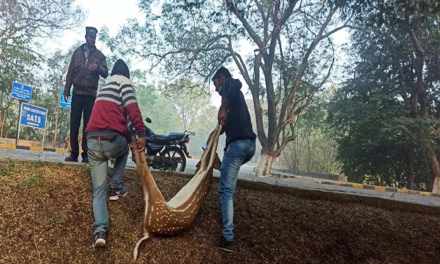 Another spotted deer found dead at UoH campus, second this week