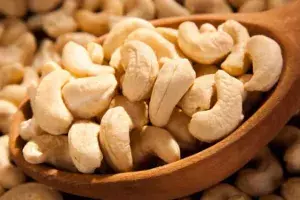 AP company cheated PNB of Rs 20 Crore by replacing cashews with shells AP company cheated PNB of Rs 20 Crore by replacing cashews with shells