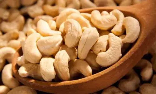 AP company cheated PNB of Rs 20 Crore by replacing cashews with shells