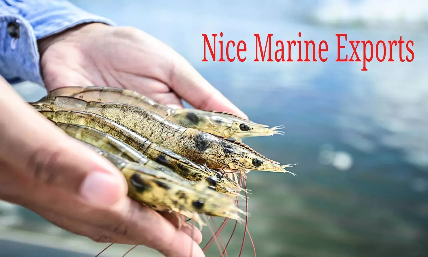 Hyd businessman creates ghost company, defrauds Canara Bank of Rs 5 Cr