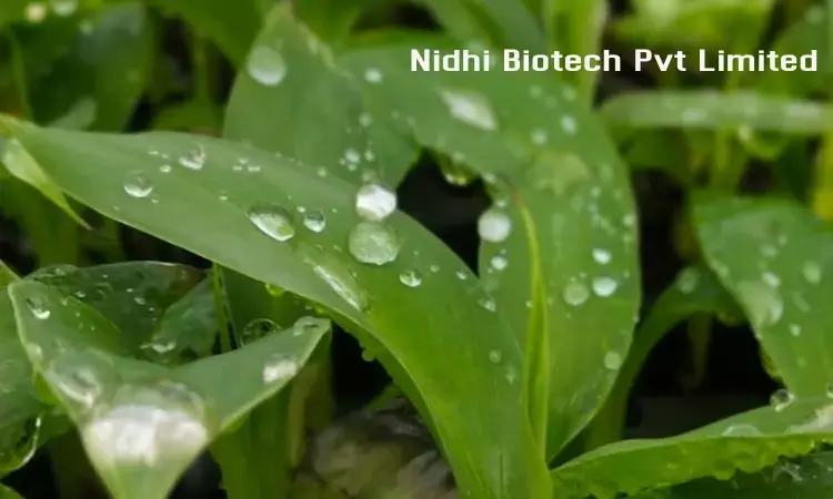 CBI books Hyderabad- based Nidhi Biotech for Rs 6 crore loan fraud