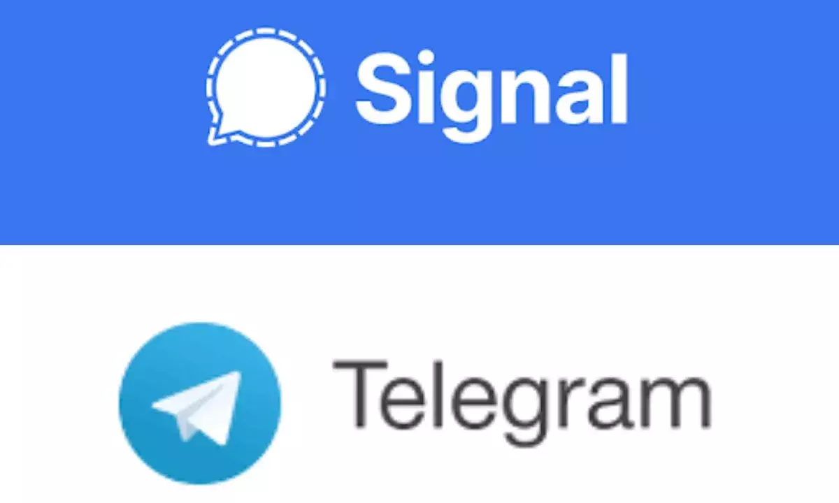 Whatsapp new policy: Why are users shifting to Signal, Telegram