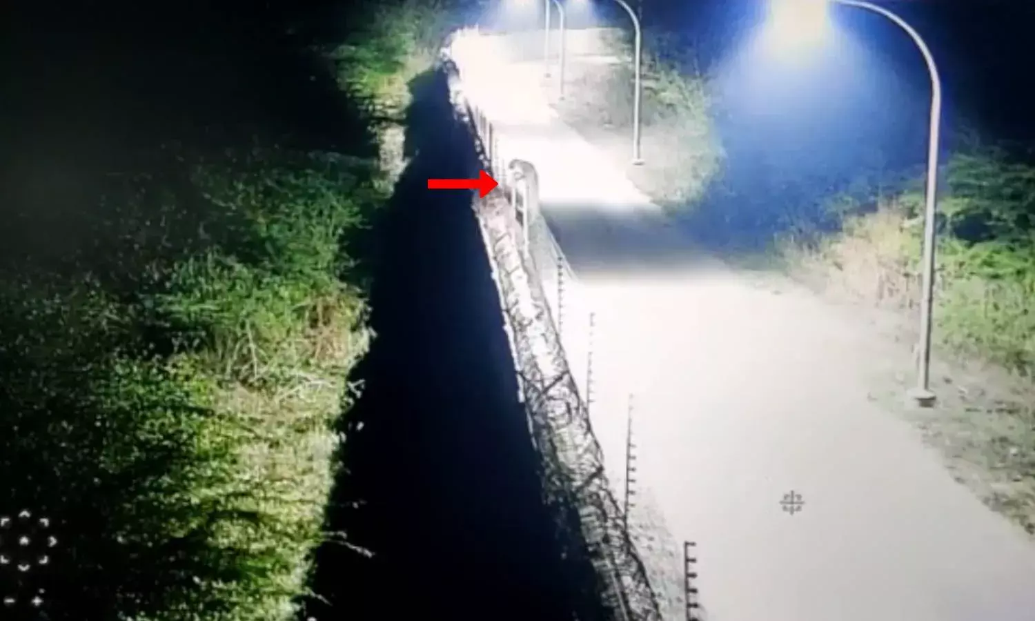 Video: Leopard spotted near Hyderabad airport, panic grips people