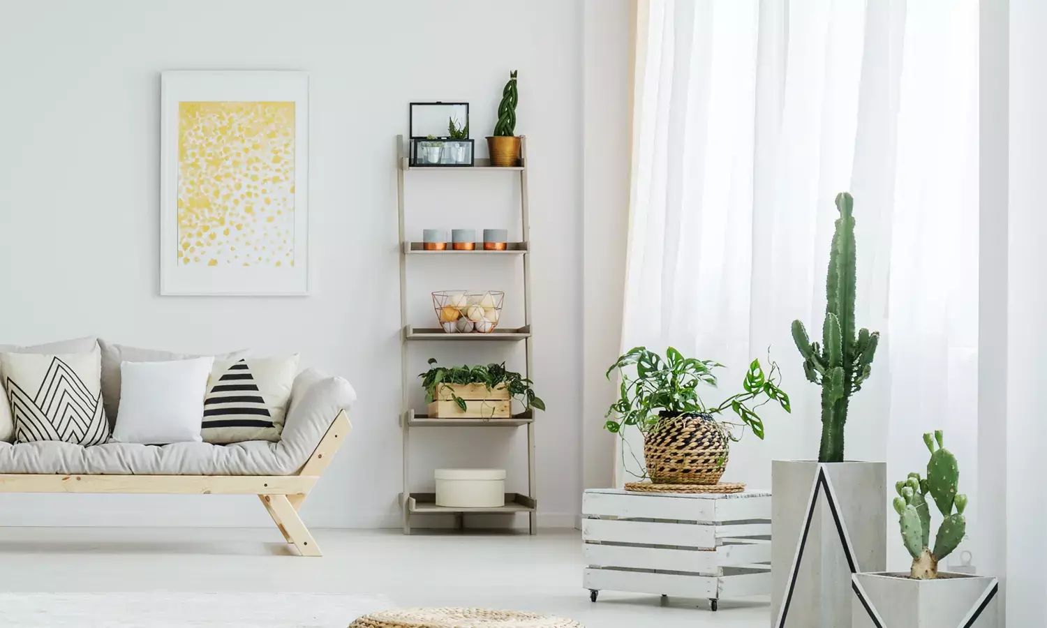 best indoor plants for home