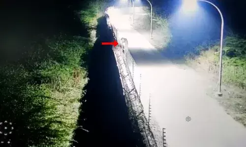 Video: Leopard spotted near Hyderabad airport, panic grips people