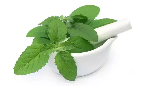 Medicinal Plants Benefits