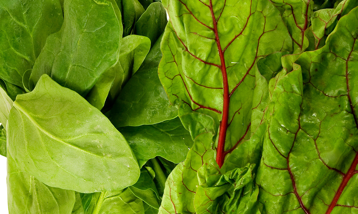 10 Healthiest Green Leafy Vegetables On The Planet