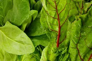 Green Leafy Vegetables Green Leafy Vegetables