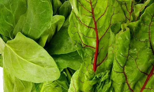 Green Leafy Vegetables