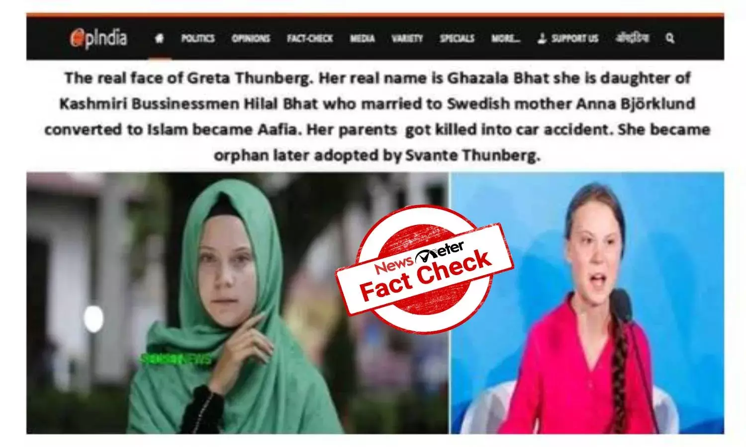 Fact Check: No, Greta Thunberg was not born into a Muslim family