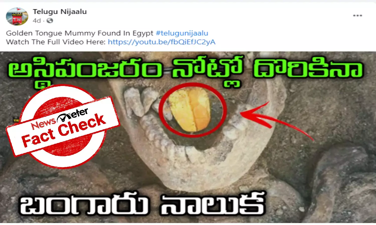Fact check: True, archeologists excavated mummy with a golden tongue in Egypt