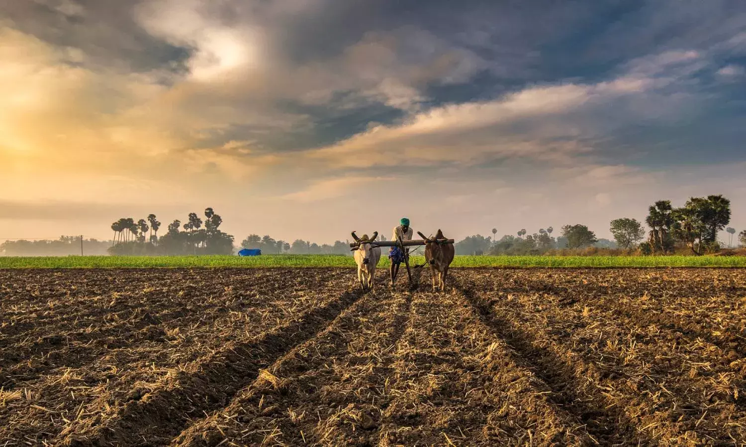 Climate change threat to Indian agriculture, to reduce crop yields in future