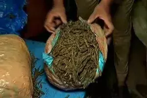 4L liters alcohol, 1L kg ganja, 4L tonnes of sand seized from smugglers in AP 4L liters alcohol, 1L kg ganja, 4L tonnes of sand seized from smugglers in AP