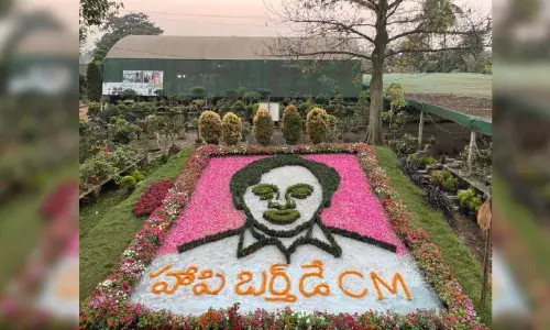 Happy Birthday CM: Residents of East Godavari convey wishes in a novel way
