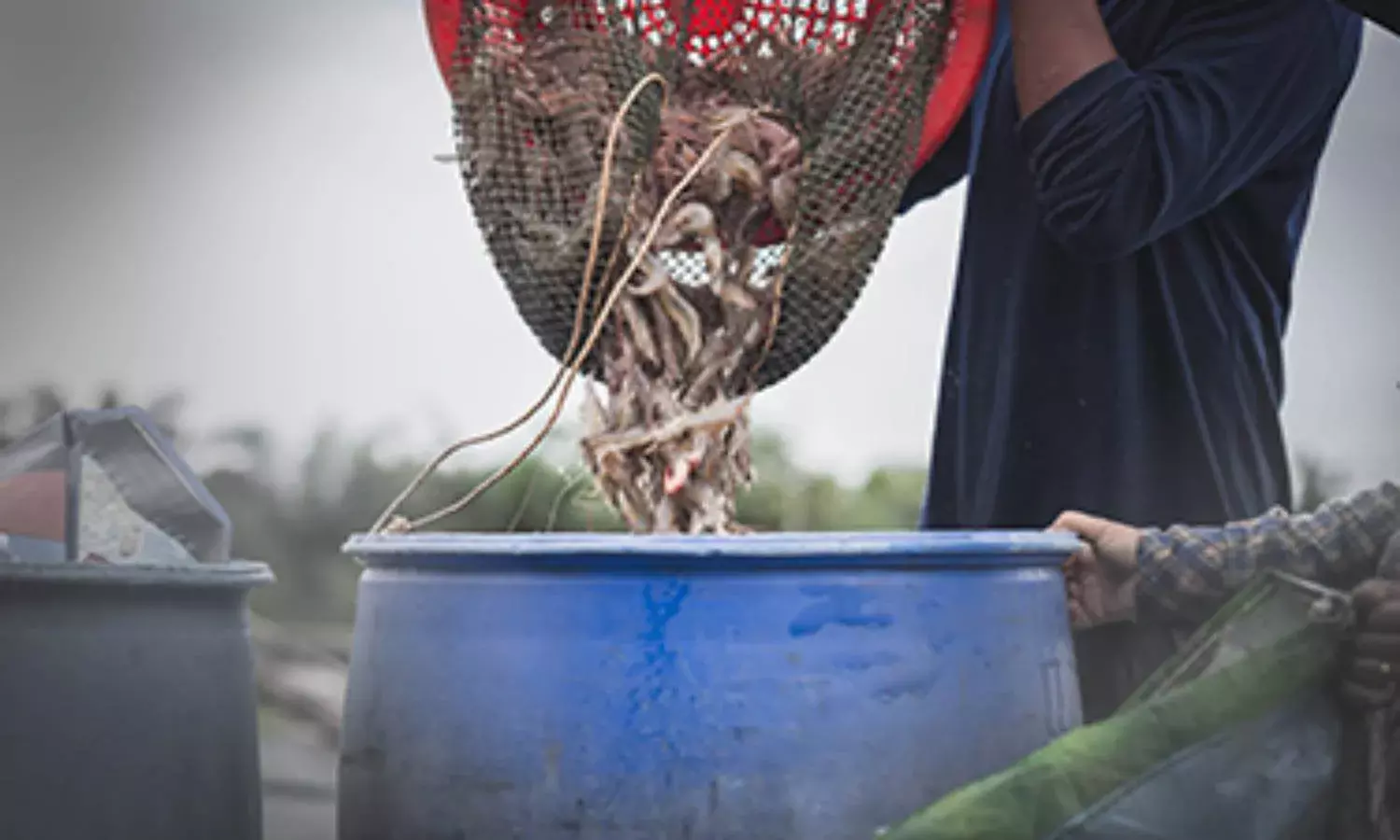Shrimp trader hires contract killers to eliminate business rival in West Godavari district