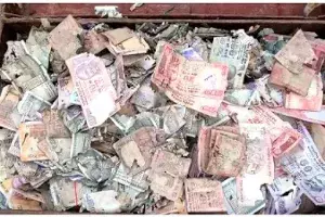 Video: Mites infiltrate into steel trunk, eat mans life savings in Krishna district Video: Mites infiltrate into steel trunk, eat mans life savings in Krishna district