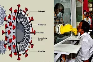 `Spike Protein of virus remains same even if person is reinfected by COVID 19: CCMB study `Spike Protein of virus remains same even if person is reinfected by COVID 19: CCMB study