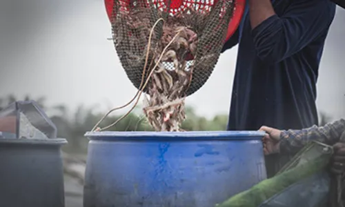 Shrimp trader hires contract killers to eliminate business rival in West Godavari district