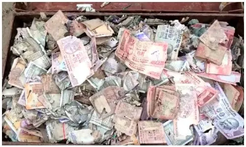 Video: Mites infiltrate into steel trunk, eat mans life savings in Krishna district