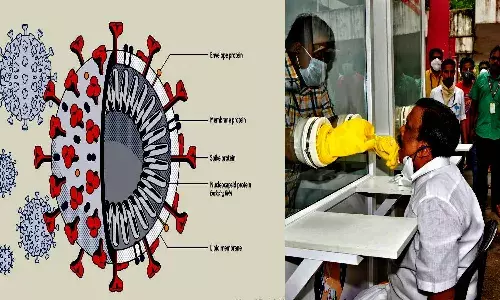 `Spike Protein of virus remains same even if person is reinfected by COVID 19: CCMB study