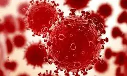 CCMB scientists raise red flag over novel variants of the SARS-CoV-2