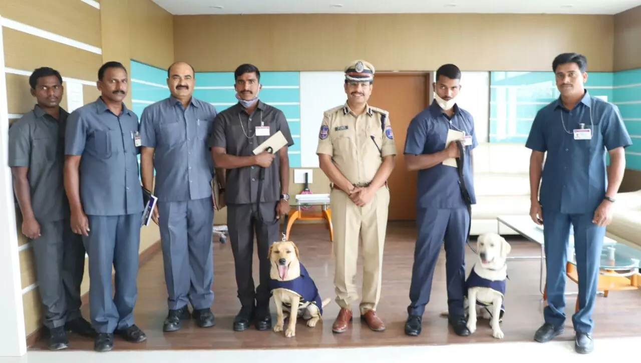 Sniffer dogs Lucy, Daisy complete 8 months training, felicitated