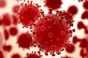 CCMB scientists raise red flag over novel variants of the SARS-CoV-2 CCMB scientists raise red flag over novel variants of the SARS-CoV-2