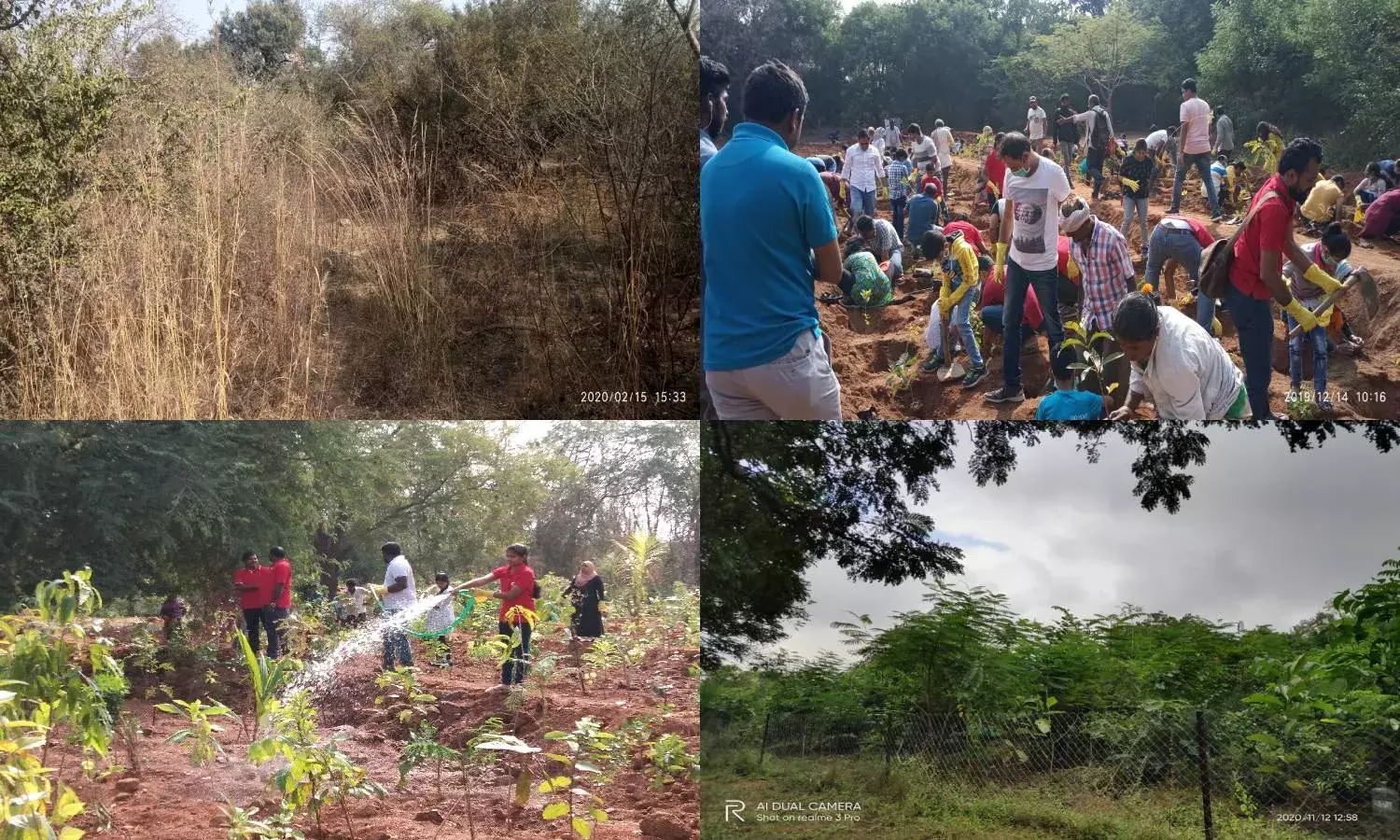 Mission 1 Cr trees: United Way of Hyd inaugurates Miyawaki Plantation at UoH