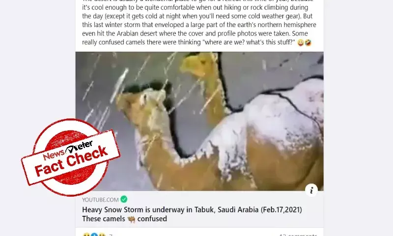 Fact check:  It is snowing in Saudi Arabia…and it is not rare